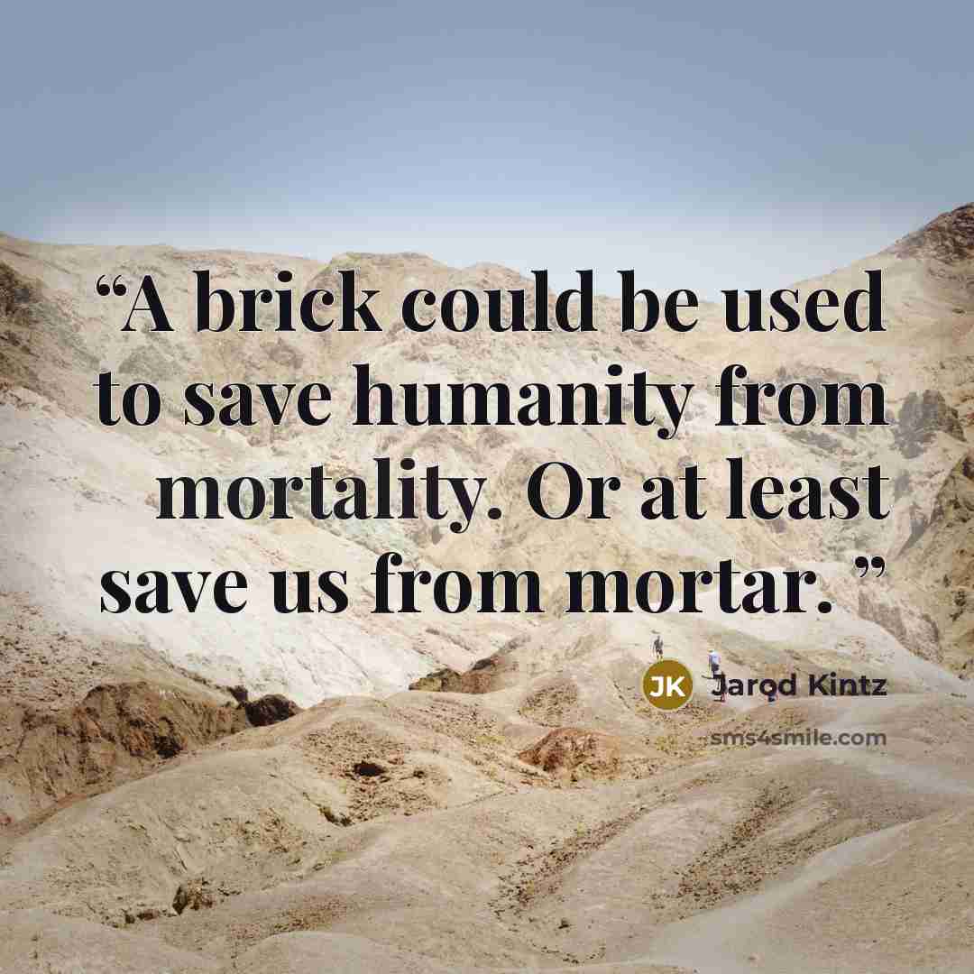 “A brick could be used to save humanity from mortality. Or at least save us from mortar.” quote by Jarod Kintz