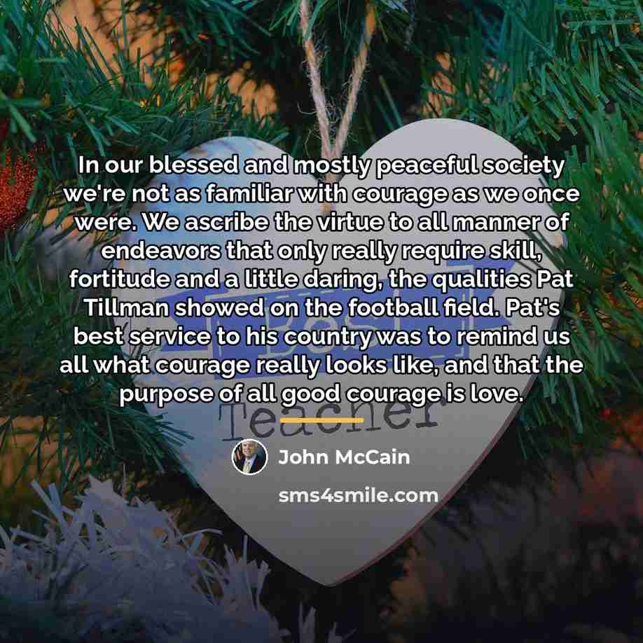 “In our blessed and mostly peaceful society we're not as…” quote by John McCain