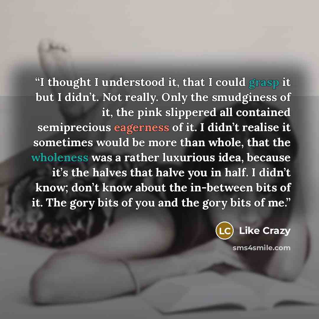 “I thought I understood it, that I could grasp it but I didn’t. Not really. Only the smudginess of it, the pink slippered all contained semiprecious eagerness of it. I didn’t realise it sometimes would be more than whole, that the wholeness was a rather luxurious idea, because it’s the halves that…” quote by Like Crazy