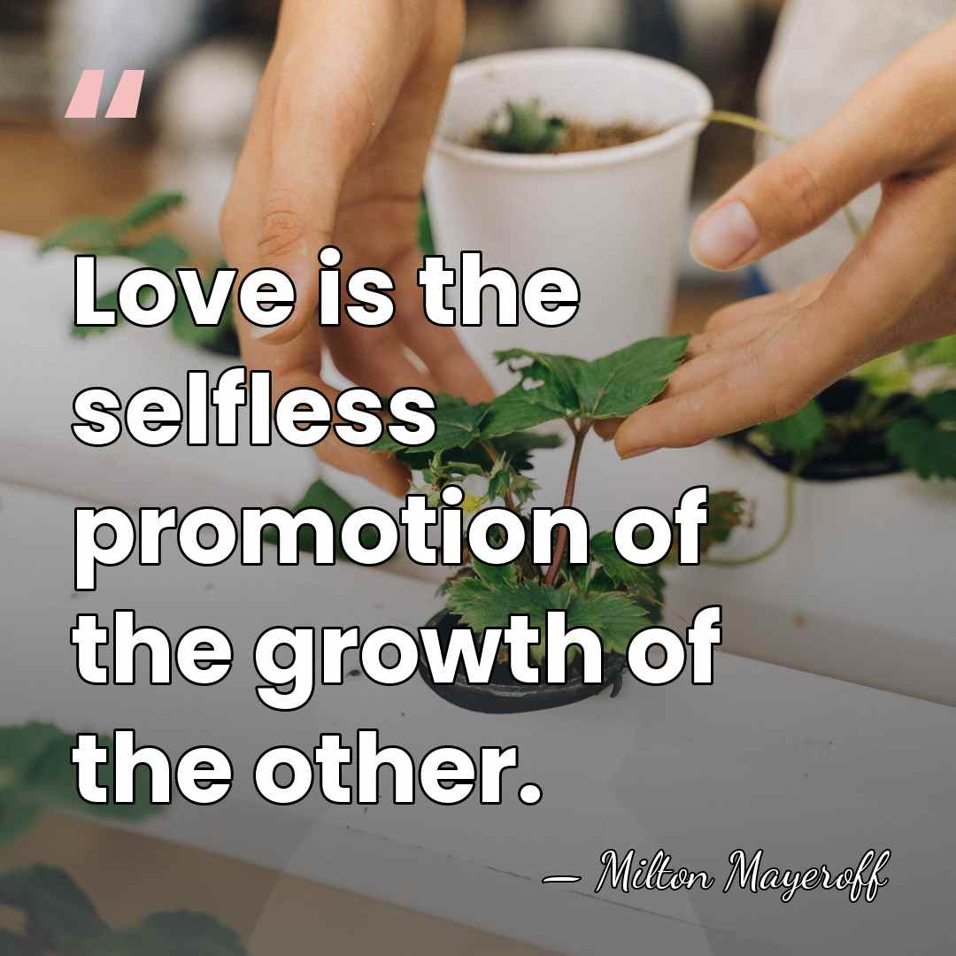 Love is the selfless promotion of the growth of the other. - Milton Mayeroff
