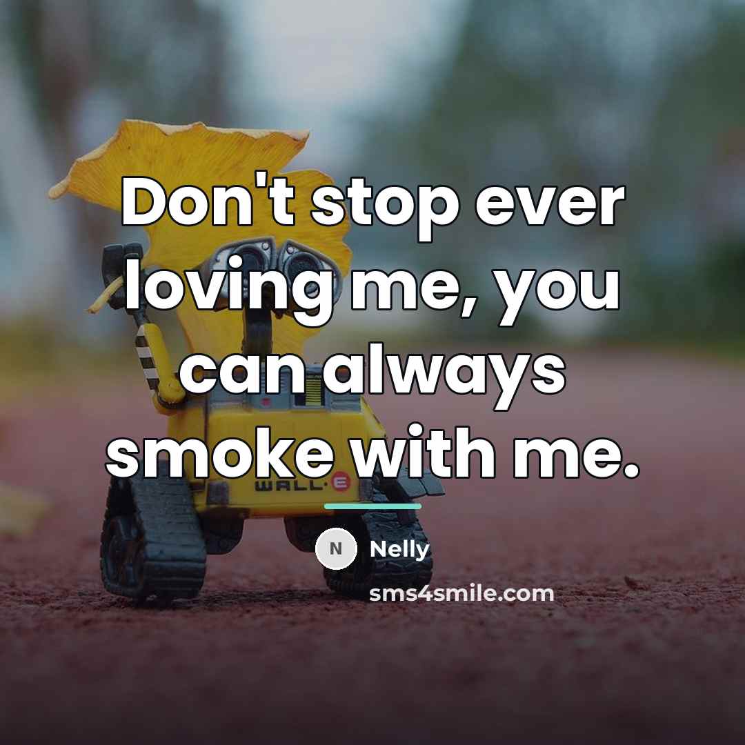 “Don't stop ever loving me, you can always smoke with…” quote by Nelly