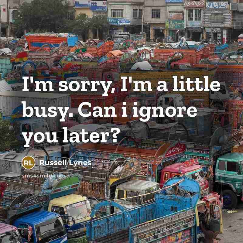 “I'm sorry, I'm a little busy. Can i ignore you…” quote by Russell Lynes