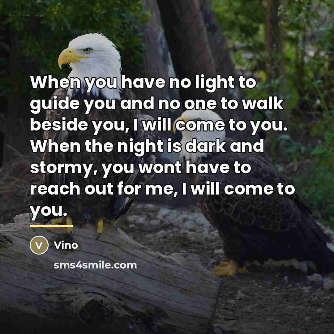 “When you have no light to guide you and no…” quote by Vino