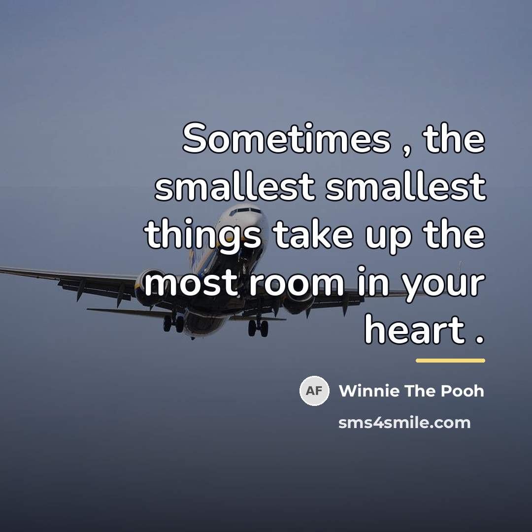 “Sometimes , the smallest smallest things take up the most…” quote by Winnie The Pooh
