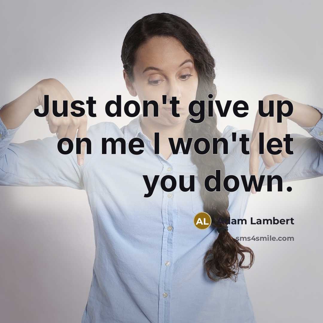 “Just don't give up on me I won't let you down.” quote by Adam Lambert