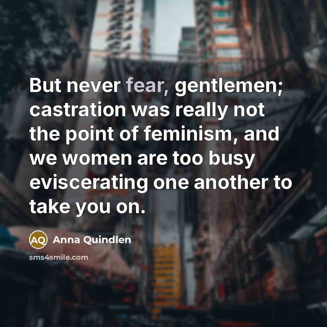 “But never fear, gentlemen; castration was really not the point…” quote by Anna Quindlen