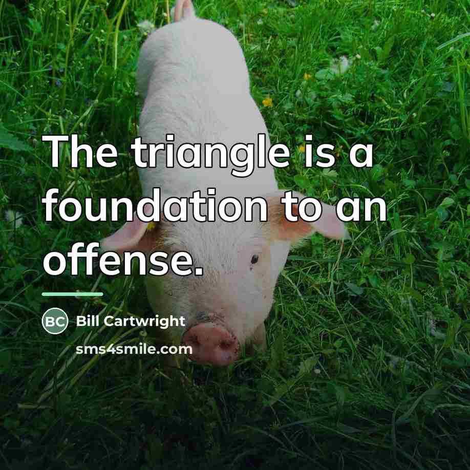 “The triangle is a foundation to an offense.…” quote by Bill Cartwright