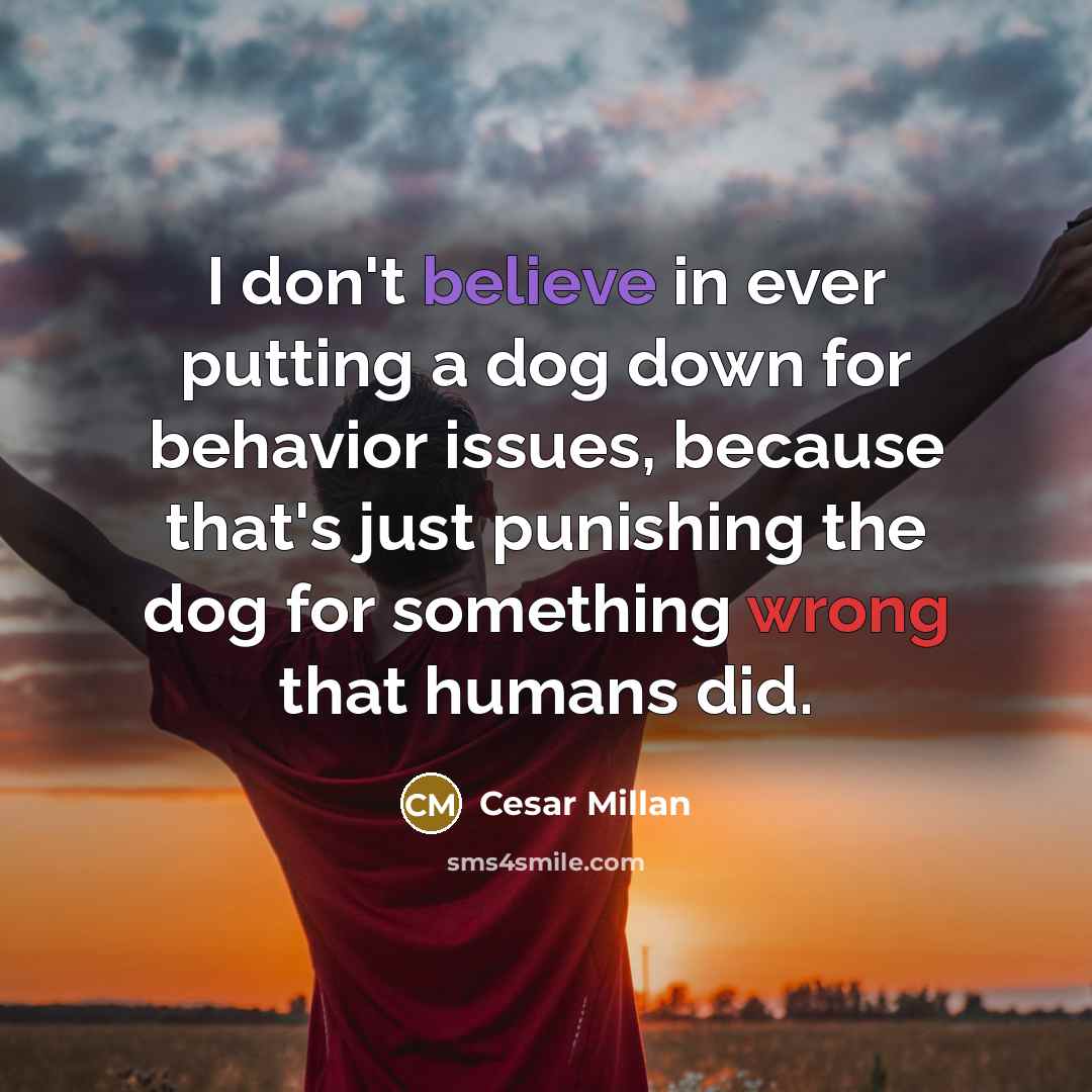 “I don't believe in ever putting a dog down for behavior issues, because that's just punishing the dog for something wrong that humans did.” quote by Cesar Millan