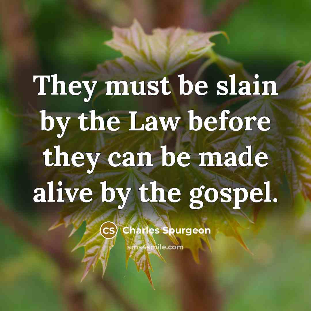 “They must be slain by the Law before they can…” quote by Charles Spurgeon