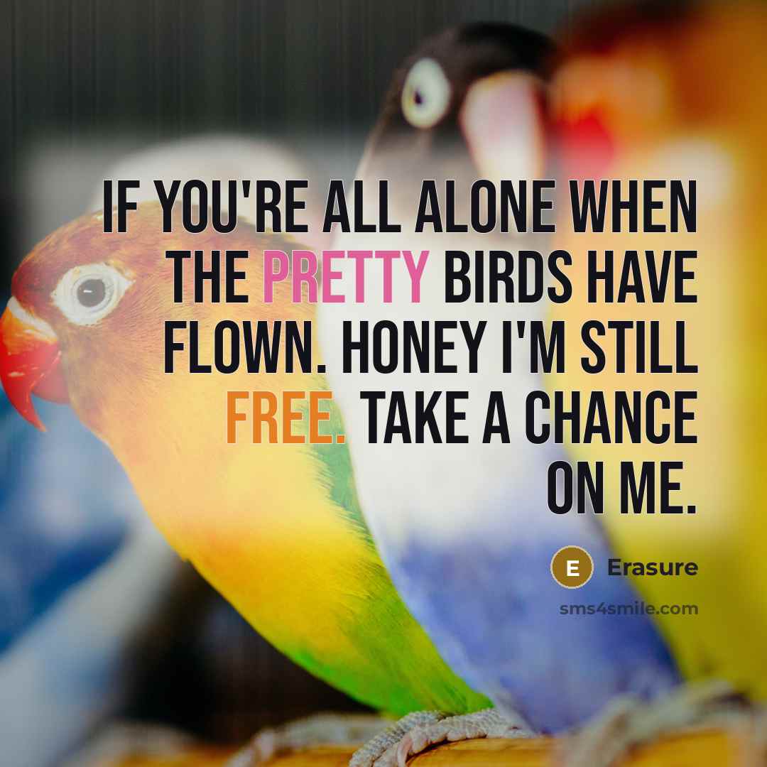 “If you're all alone when the pretty birds have flown.…” quote by Erasure