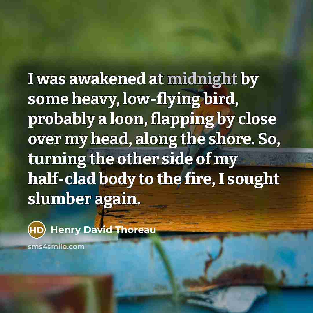 “I was awakened at midnight by some heavy, low-flying bird,…” quote by Henry David Thoreau