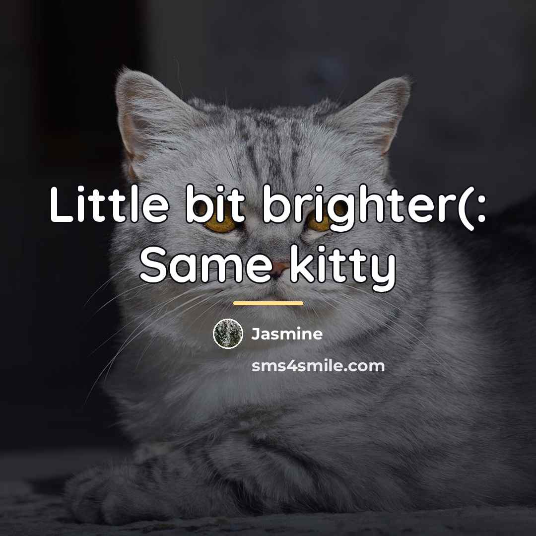 “Little bit brighter(: Same kitty…” quote by Jasmine