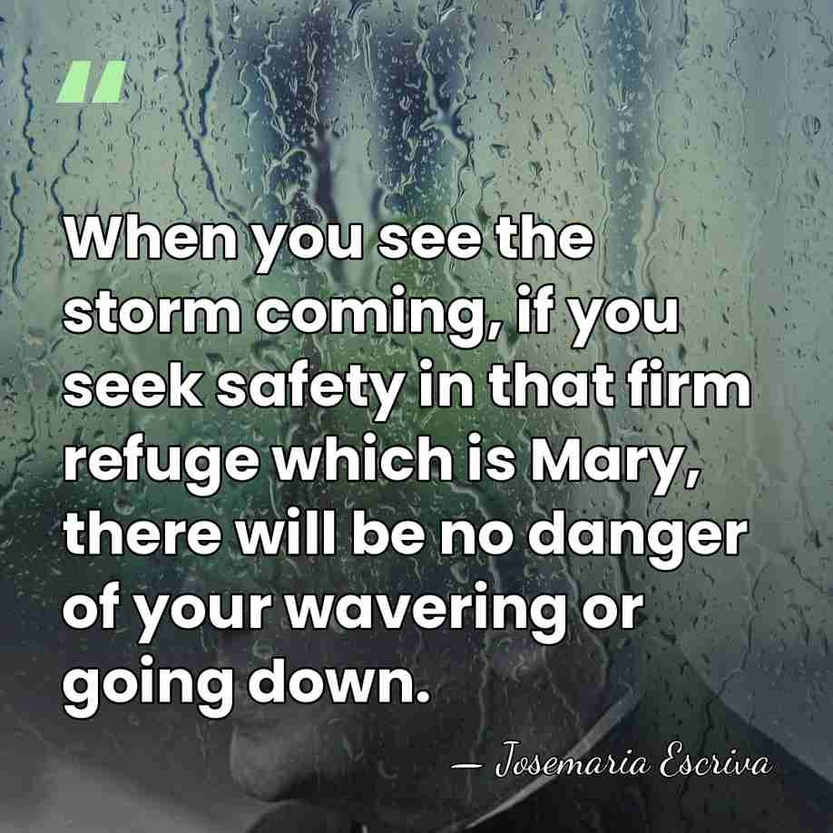 When you see the storm coming, if you seek safety in that&hellip; - Josemaria Escriva