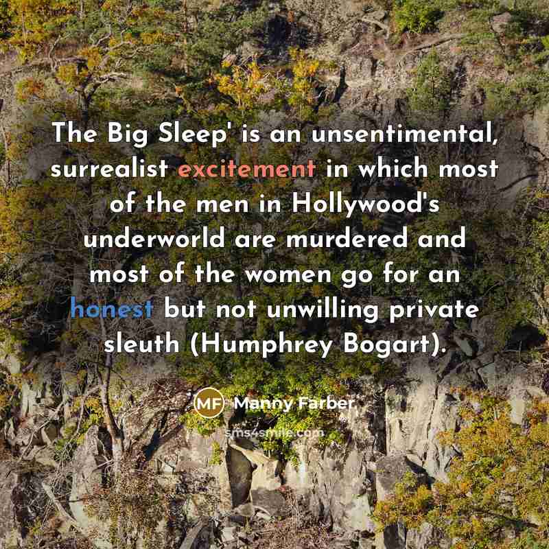 “The Big Sleep' is an unsentimental, surrealist excitement in which…” quote by Manny Farber