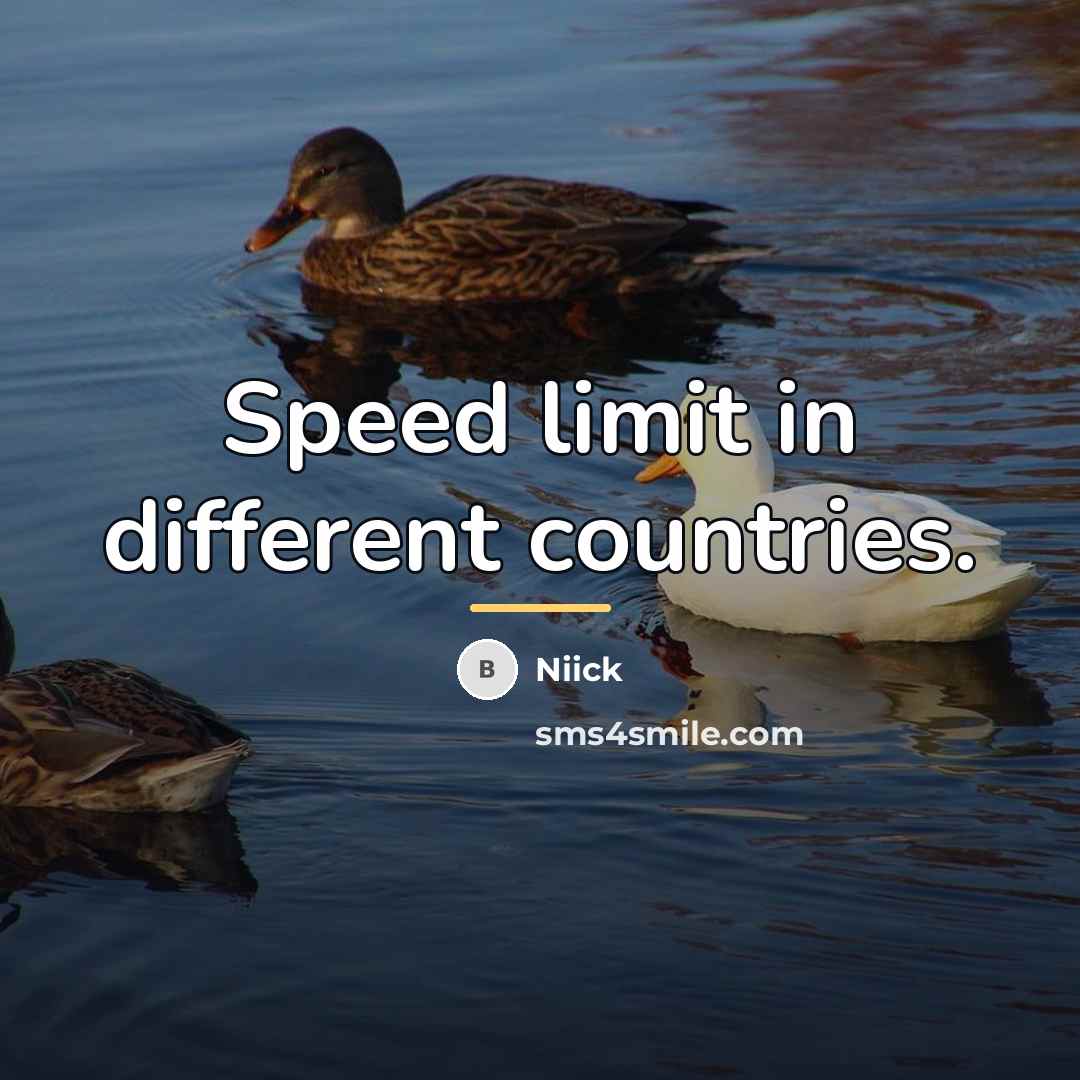 “Speed limit in different countries.…” quote by Niick