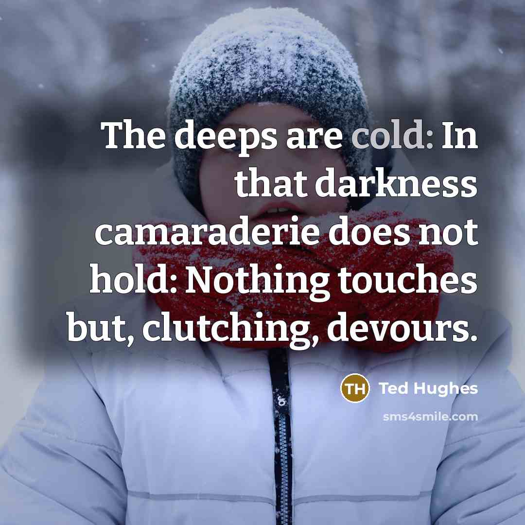 “The deeps are cold: In that darkness camaraderie does not…” quote by Ted Hughes
