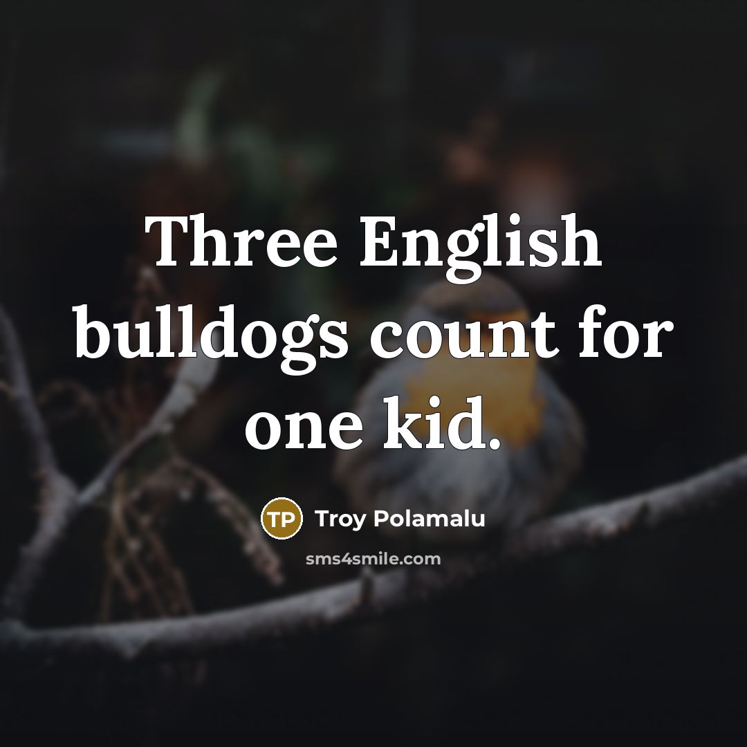 “Three English bulldogs count for one kid.” quote by Troy Polamalu