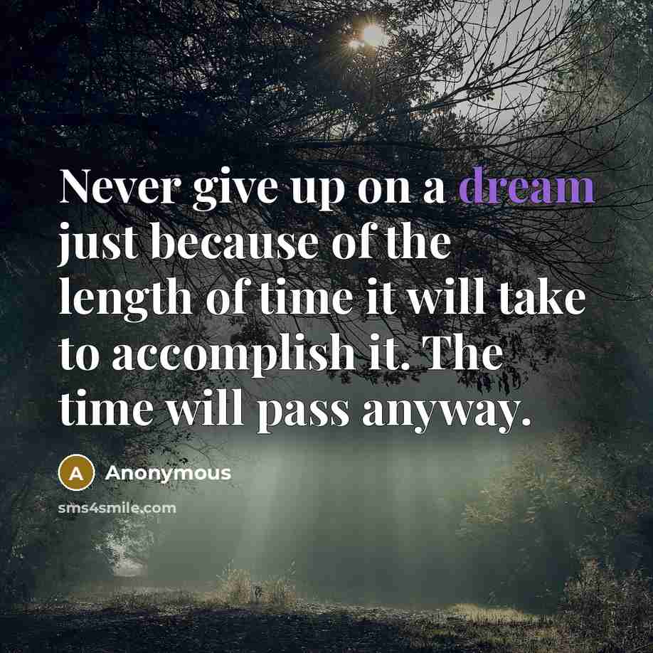 “Never give up on a dream just because of the length of time it will take to accomplish it. The time will pass anyway.” quote by Anonymous