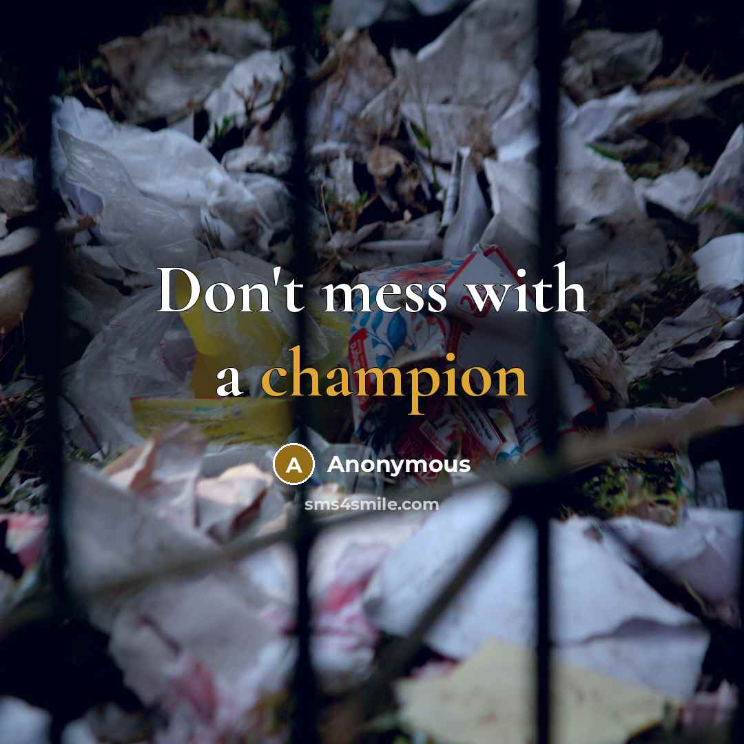 “Don't mess with a champion” quote by Anonymous