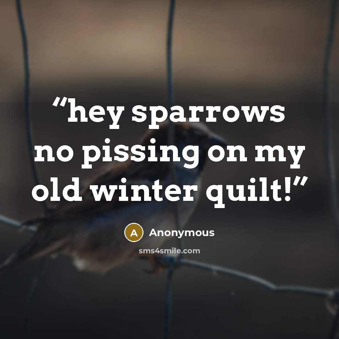 “hey sparrows no pissing on my old winter quilt!” quote by Anonymous