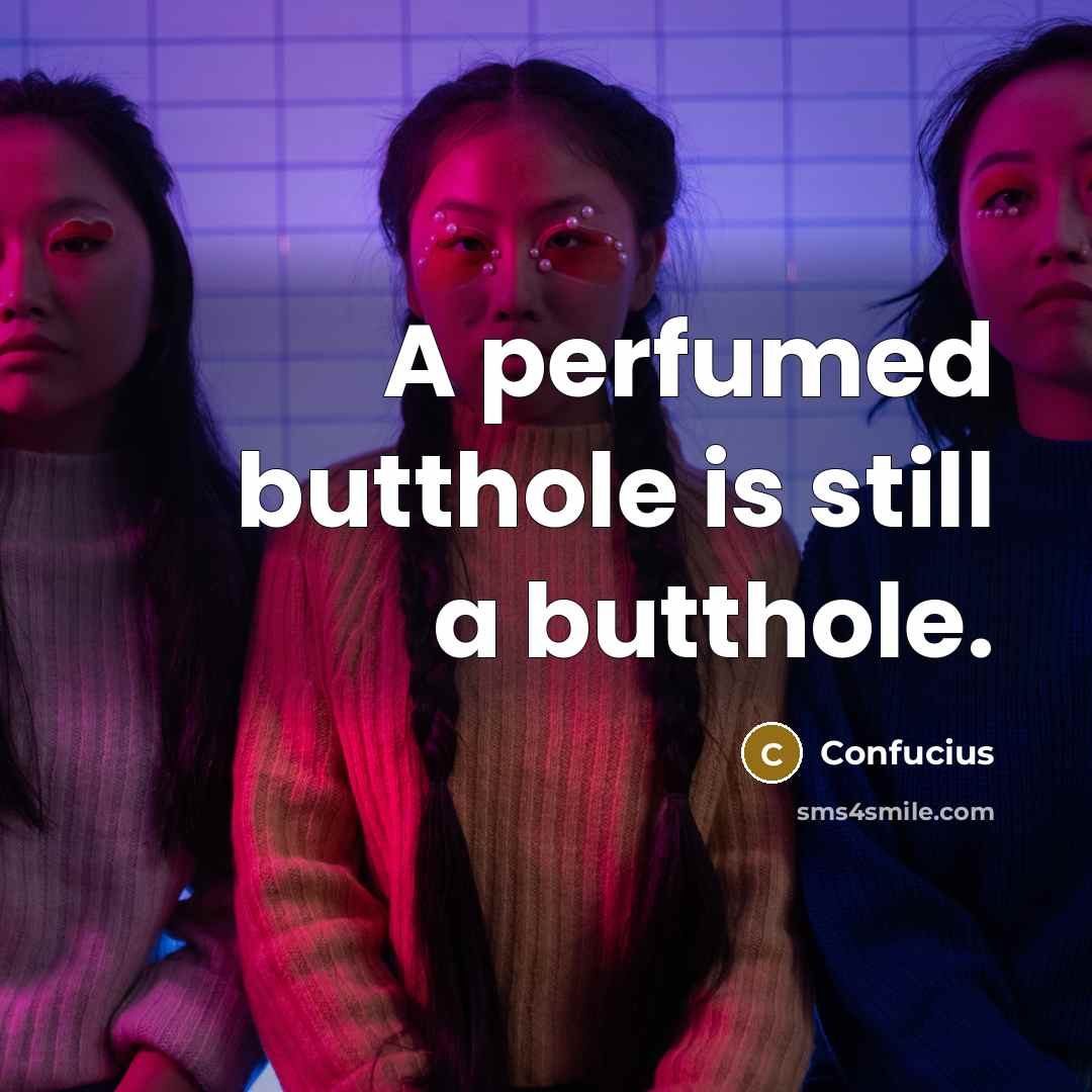 “A perfumed butthole is still a butthole.…” quote by Confucius