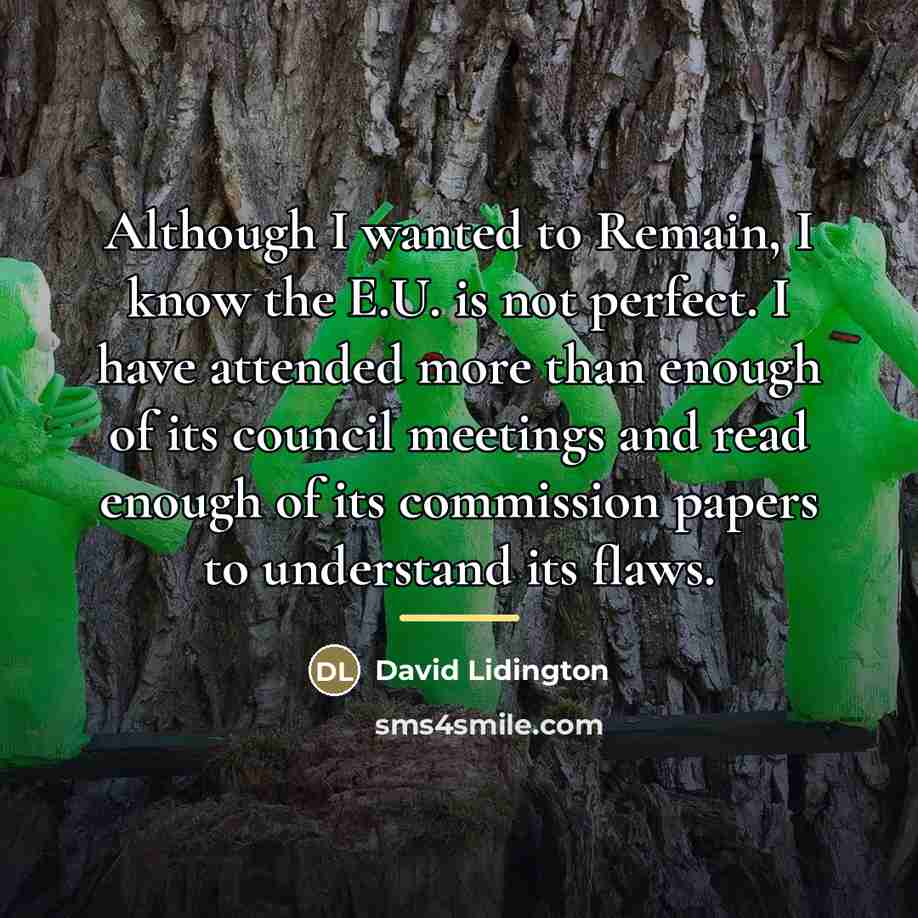 “Although I wanted to Remain, I know the E.U. is…” quote by David Lidington