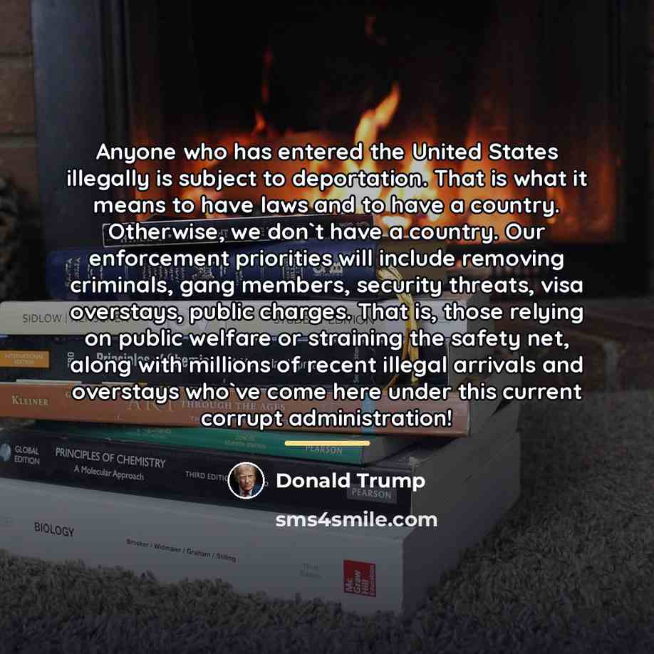 “Anyone who has entered the United States illegally is subject…” quote by Donald Trump
