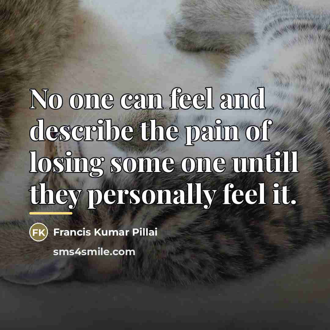 “No one can feel and describe the pain of losing…” quote by Francis Kumar Pillai