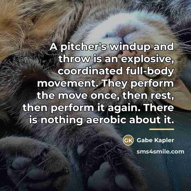 “A pitcher's windup and throw is an explosive, coordinated full-body…” quote by Gabe Kapler