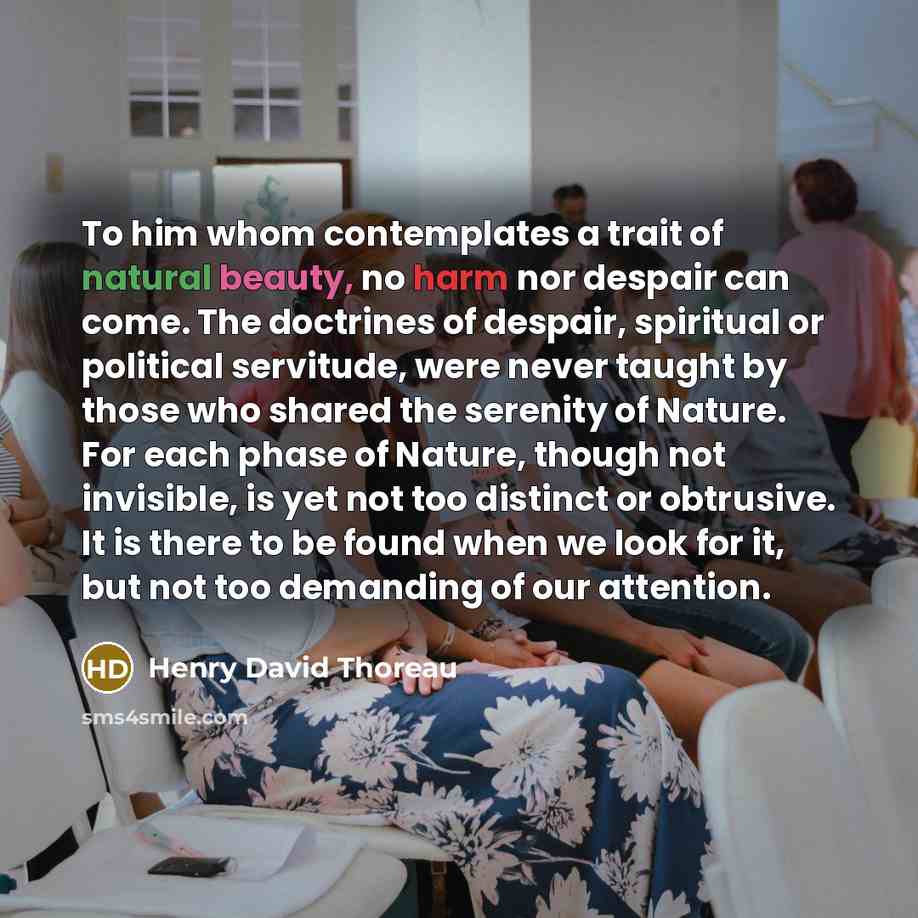 “To him whom contemplates a trait of natural beauty, no…” quote by Henry David Thoreau