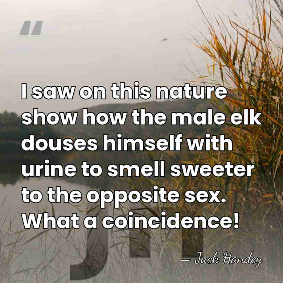 I saw on this nature show how the male elk douses himself&hellip; - Jack Handey
