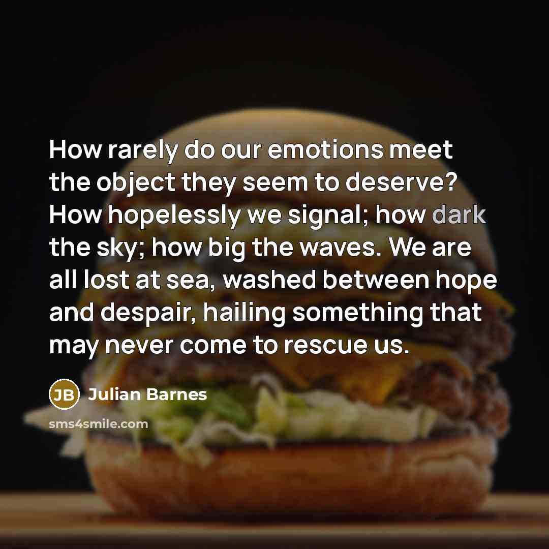 “How rarely do our emotions meet the object they seem…” quote by Julian Barnes