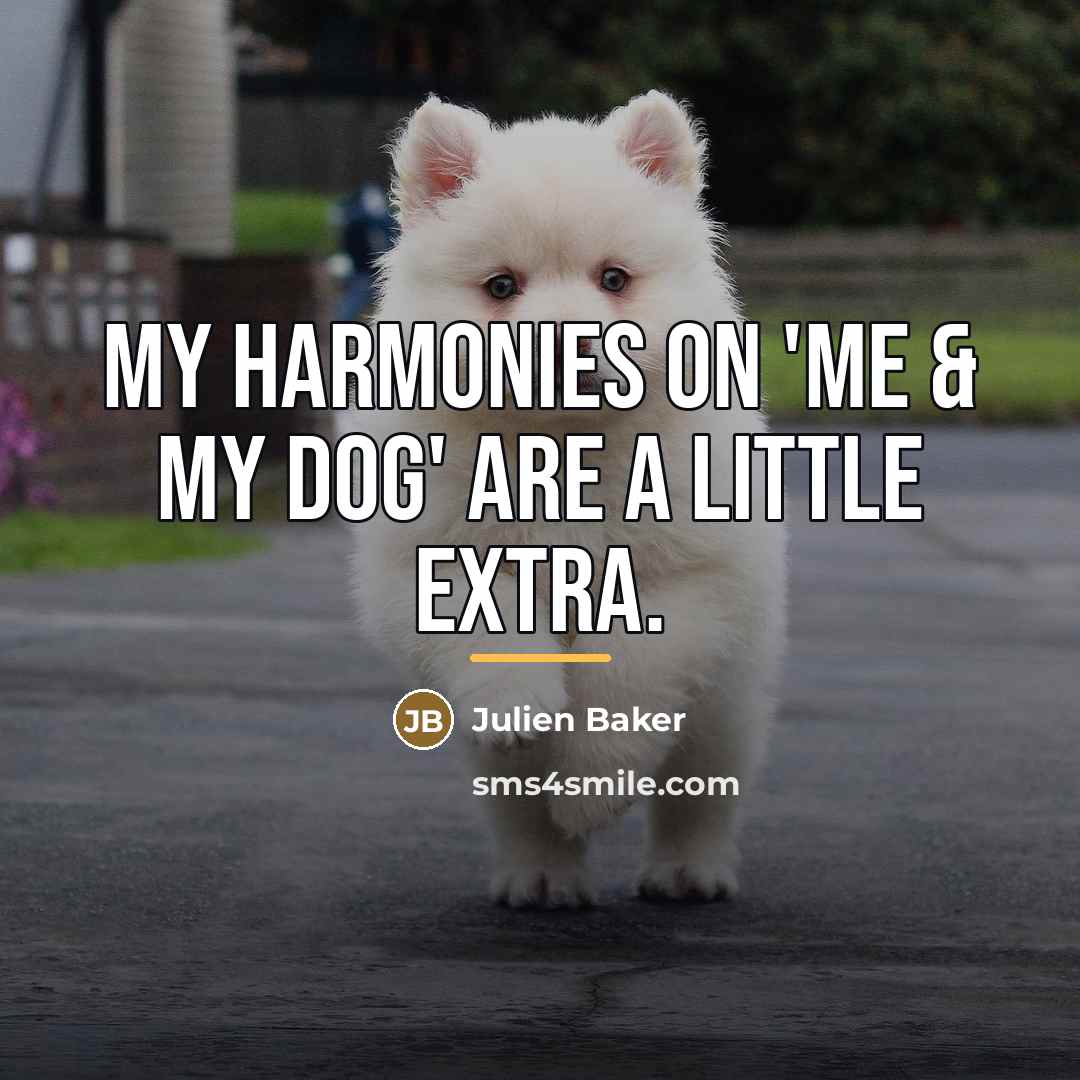 “My harmonies on 'Me & My Dog' are a little…” quote by Julien Baker