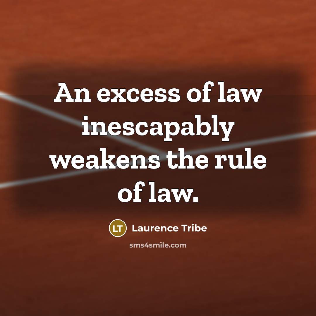 “An excess of law inescapably weakens the rule of law.…” quote by Laurence Tribe