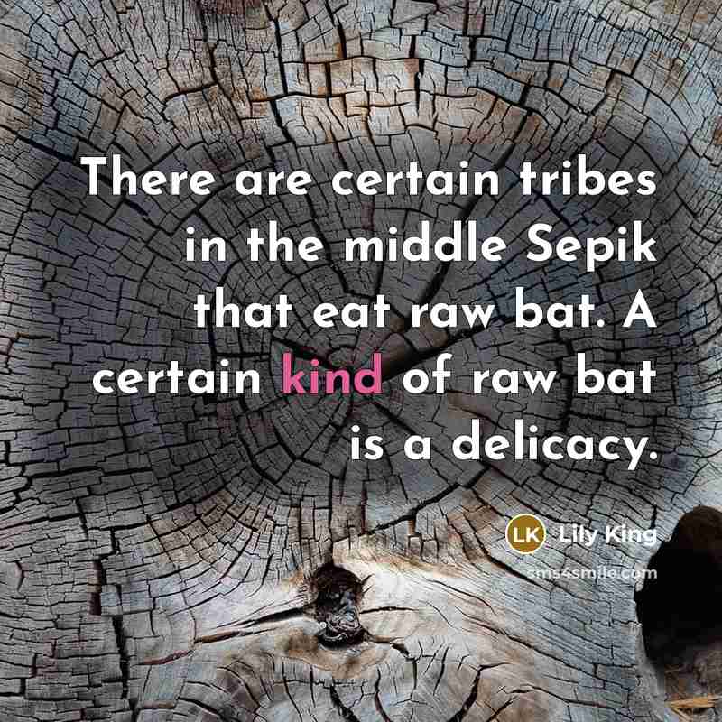 “There are certain tribes in the middle Sepik that eat…” quote by Lily King