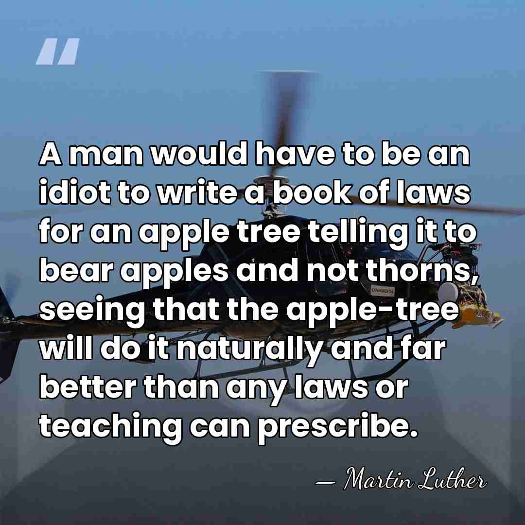 A man would have to be an idiot to write a book&hellip; - Martin Luther