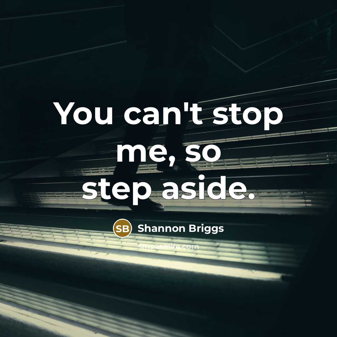 “You can't stop me, so step aside.…” quote by Shannon Briggs