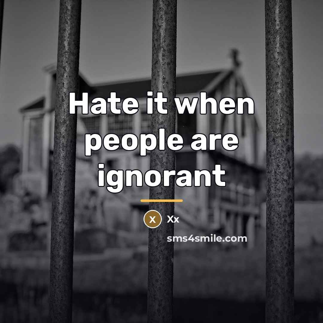 “Hate it when people are ignorant…” quote by Xx