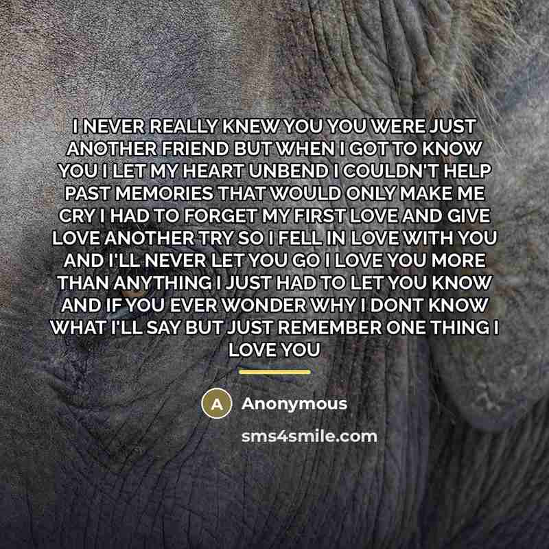 “I NEVER REALLY KNEW YOU YOU WERE JUST ANOTHER FRIEND…” quote by Anonymous