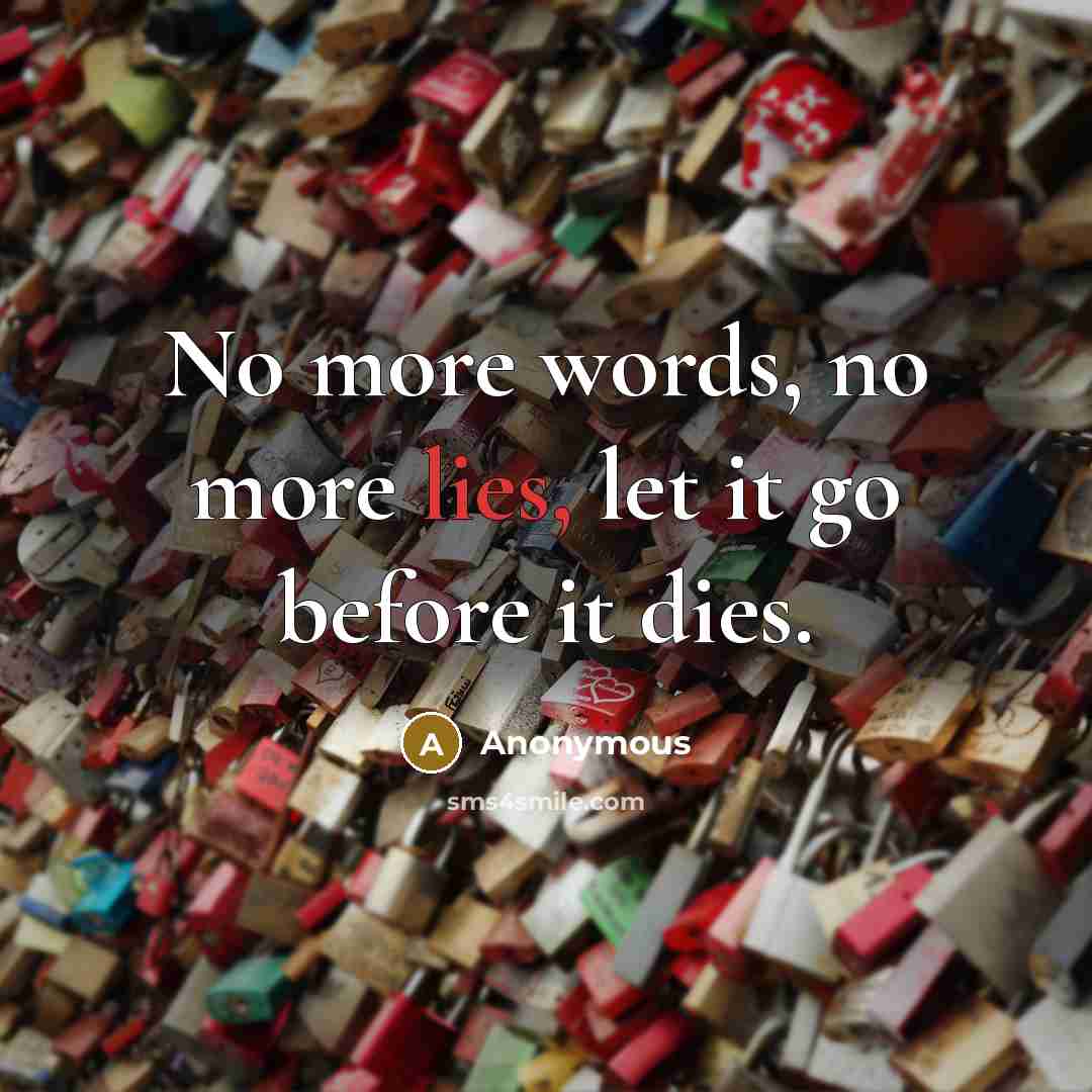 “No more words, no more lies, let it go before…” quote by Anonymous