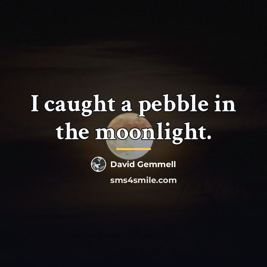 “I caught a pebble in the moonlight.…” quote by David Gemmell