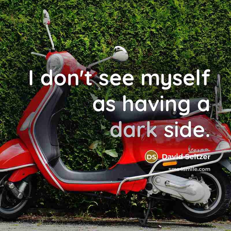 “I don't see myself as having a dark side.…” quote by David Seltzer