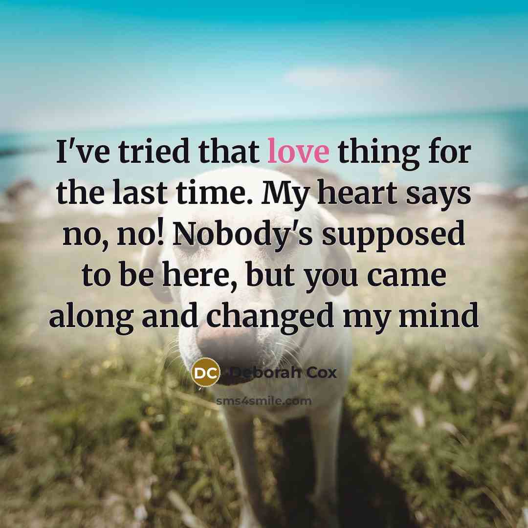 “I've tried that love thing for the last time. My…” quote by Deborah Cox