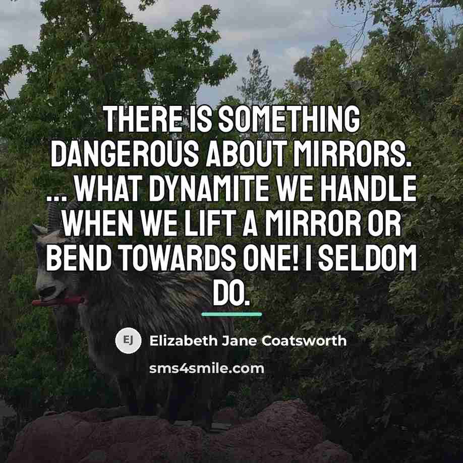 “there is something dangerous about mirrors. ... What dynamite we…” quote by Elizabeth Jane Coatsworth