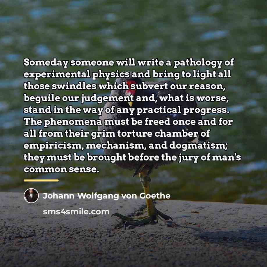 “Someday someone will write a pathology of experimental physics and…” quote by Johann Wolfgang von Goethe