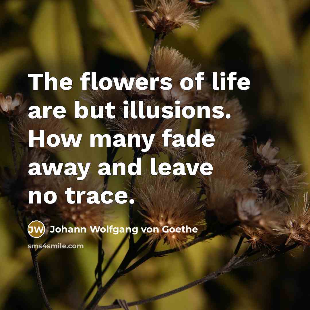“The flowers of life are but illusions. How many fade…” quote by Johann Wolfgang von Goethe