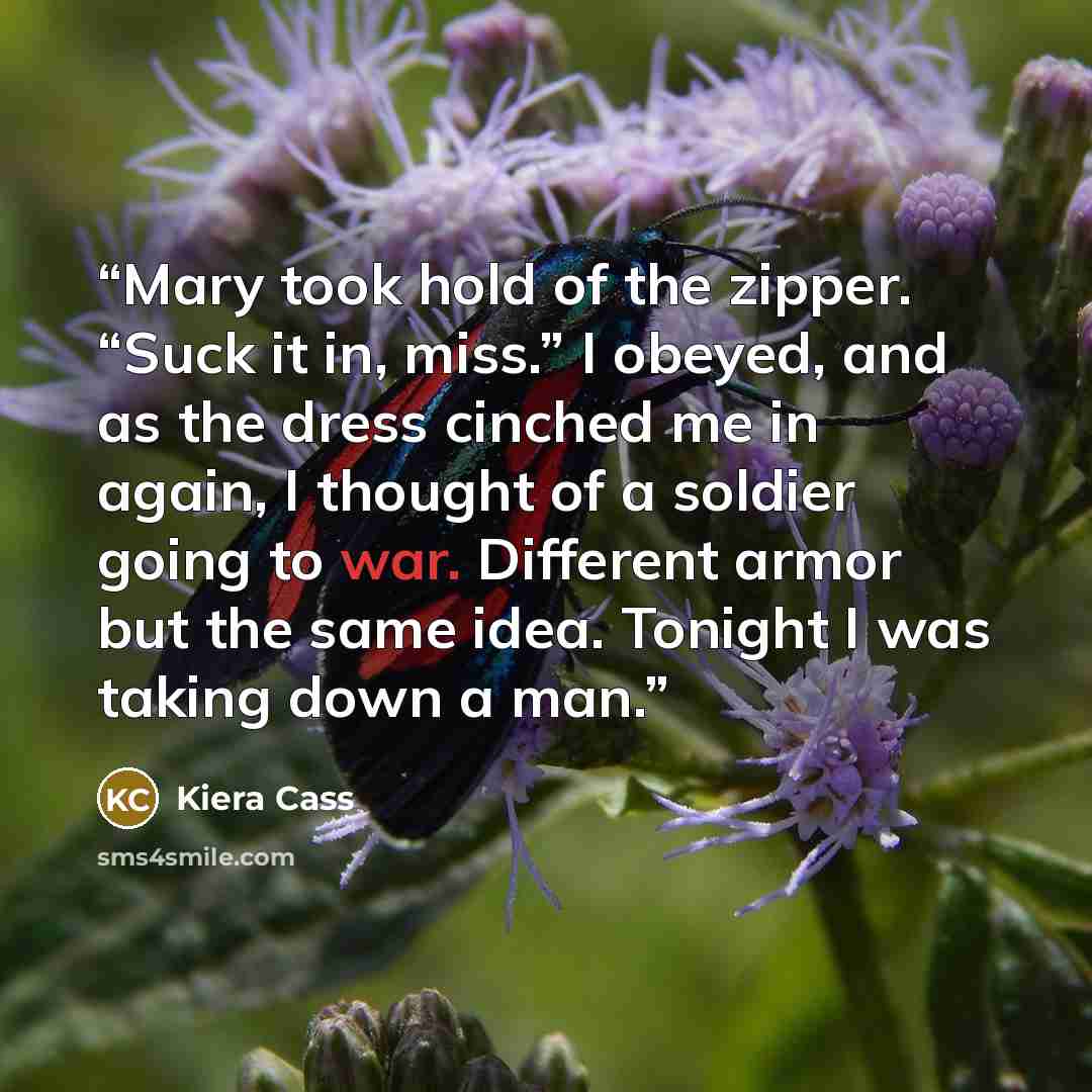 “Mary took hold of the zipper. “Suck it in, miss.” I obeyed, and as the dress cinched me in again, I thought of a soldier going to war. Different armor but the same idea. Tonight I was taking down a man.” quote by Kiera Cass