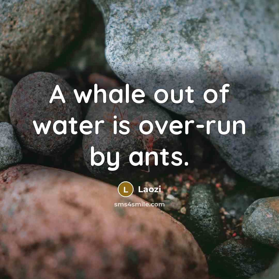 “A whale out of water is over-run by ants.…” quote by Laozi