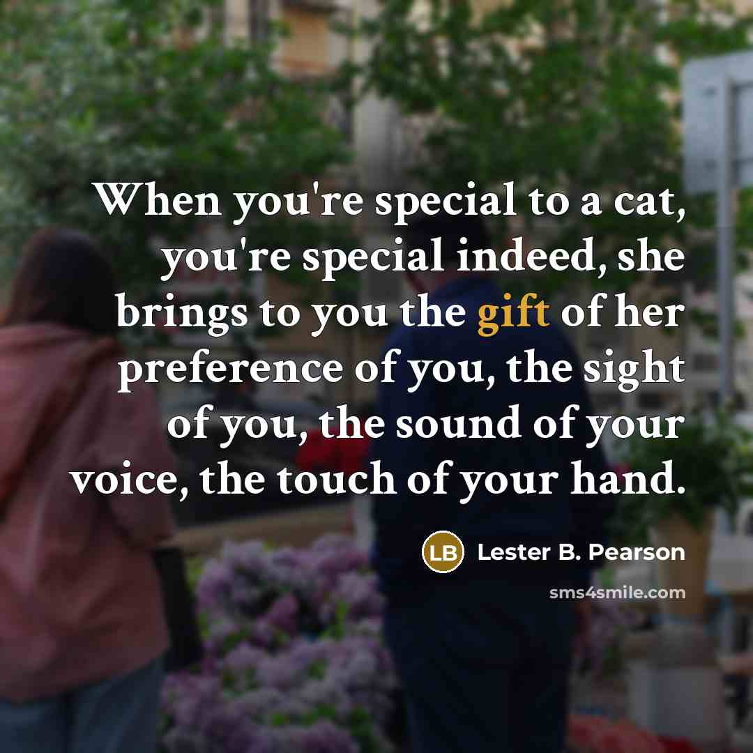 “When you're special to a cat, you're special indeed, she…” quote by Lester B. Pearson