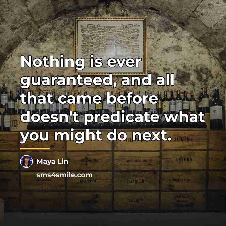 “Nothing is ever guaranteed, and all that came before doesn't…” quote by Maya Lin